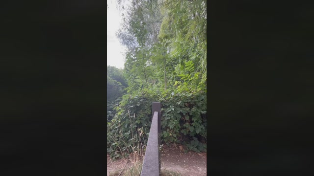 amanilouve  28-07-2022